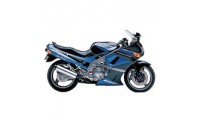Cheap Kawasaki ZZR600 Fairings Canada