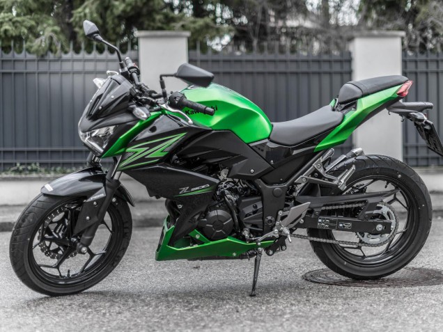 2015-2016 Kawasaki Z250/Z300 Motorcycle Fairing Kits - Green Matte Black Canada