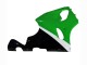 1996-2003 Kawasaki ZX7R Motorcycle Fairings - White Green Black Canada
