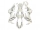 2017-2024 Honda CBR1000RR Motorcycle Fairings - White with Black Stripe Fireblade Canada