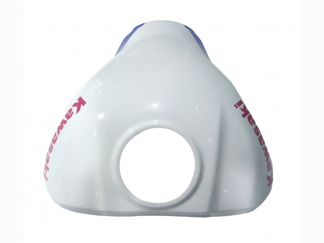 2021-2026 Kawasaki ZX10R Motorcycle Fairings - White Green Blue Black Canada