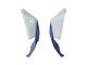 2021-2026 Kawasaki ZX10R Motorcycle Fairings - White Green Blue Black Canada