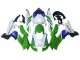 2021-2026 Kawasaki ZX10R Motorcycle Fairings - White Green Blue Black Canada