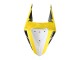 2019-2021 Yamaha YZF R3/R25 Motorcycle Fairings - Yellow White Black Stripe Canada