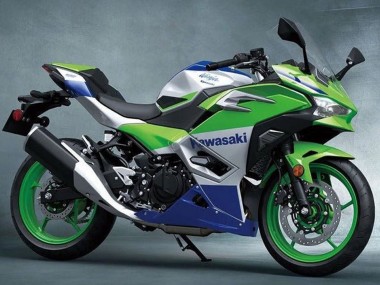 Cheap 2024-2025 Kawasaki Ninja 500 EX500R Motorcycle Fairings - Silver Green Blue Canada