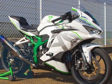 Cheap 2019-2025 Kawasaki ZX25R ZX-25R Motorcycle Fairings - White Silver Green Canada