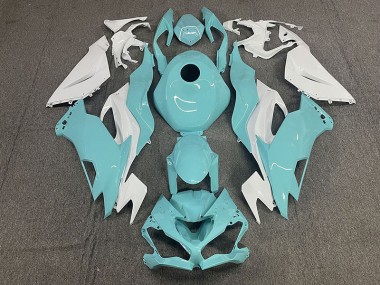 Aqua 19-23 ZX6R Fairings